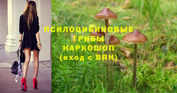 PSILOCYBIN Арсеньев